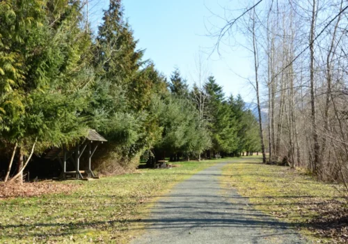 Wedding and Event Rentals in Deming, WA
