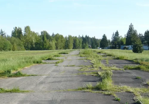 Wedding and Event Rentals in Martha Lake, WA