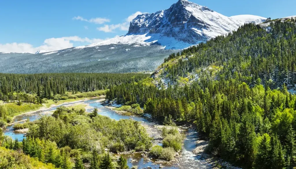 montana car shipping autohaul (3)